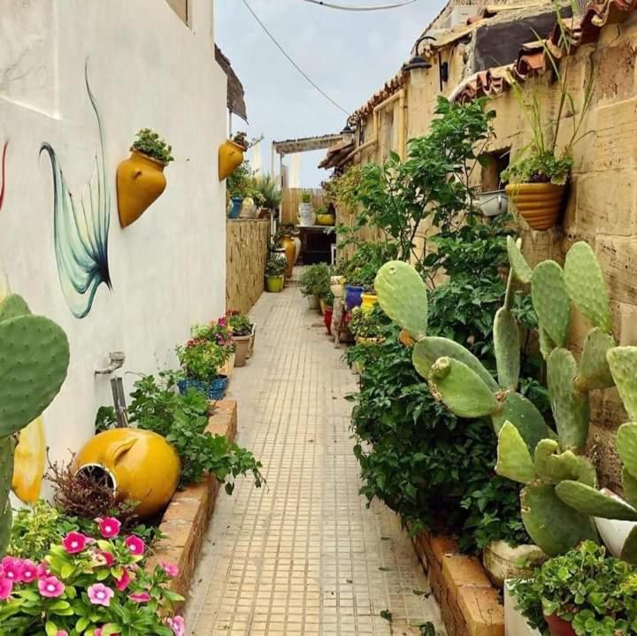 فندق Casa Maritri Locazione Turistica مارزاميمي المظهر الخارجي الصورة