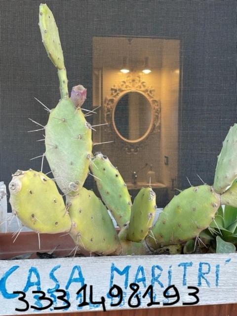 فندق Casa Maritri Locazione Turistica مارزاميمي المظهر الخارجي الصورة