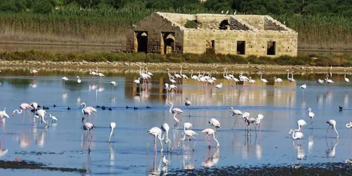 فندق Casa Maritri Locazione Turistica مارزاميمي المظهر الخارجي الصورة